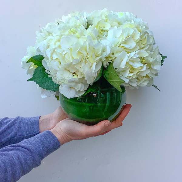 Simply Hydrangea