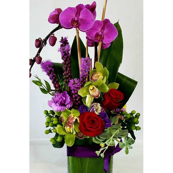 Orchid Jewels #2