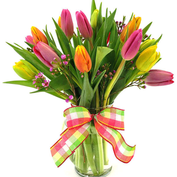 Assorted Tulips in a vase