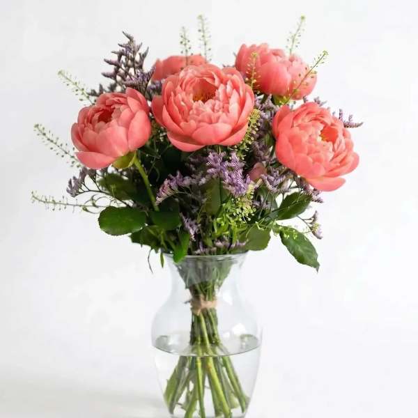 Beauty Coral Peony