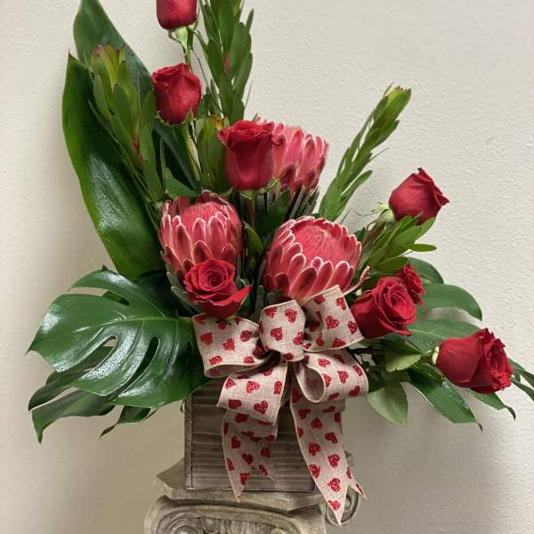 Passion Protea
