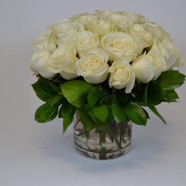 White Love