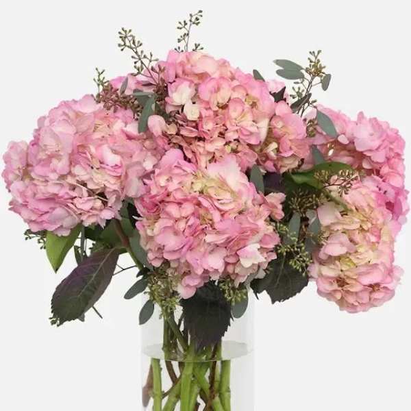 Pink hydrangea bouquet in a clear glass vase