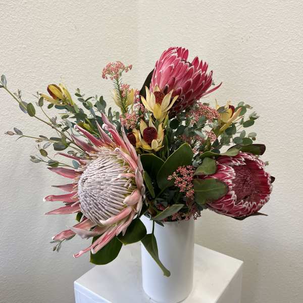 King Protea