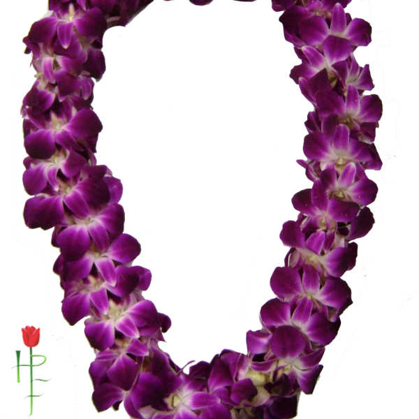 Double Graduation Orchid Lei / Purple