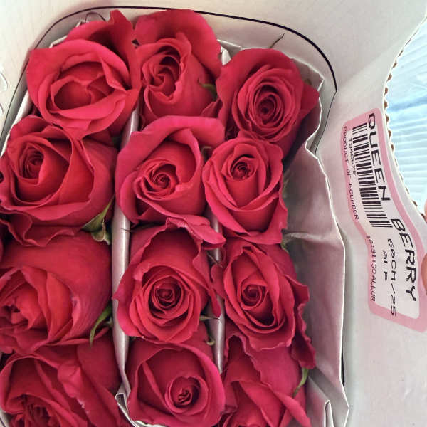 Box of bright pink roses arranged in paper sleeves