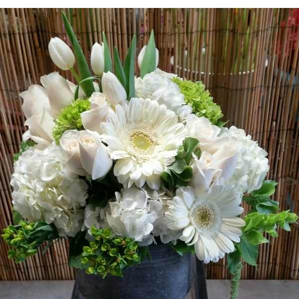 White Blossoms #1