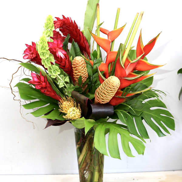 Tall Tropics - MGF