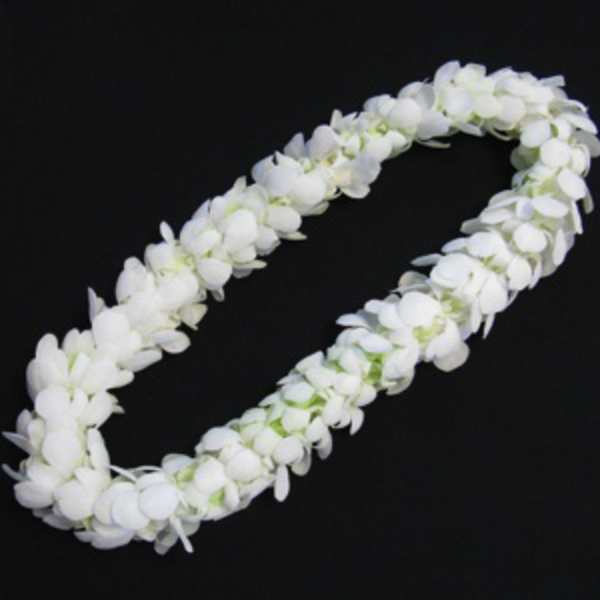 Double Graduation Orchid Lei / White