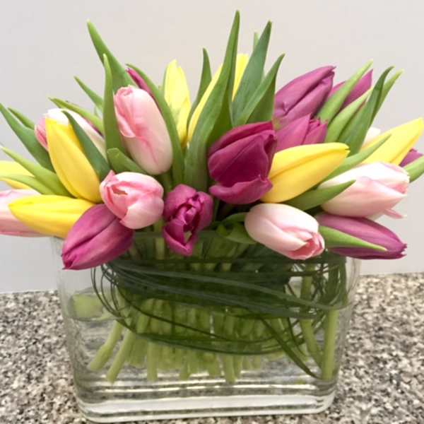 Bouquet of pink, yellow, and purple tulips in a clear glass vase