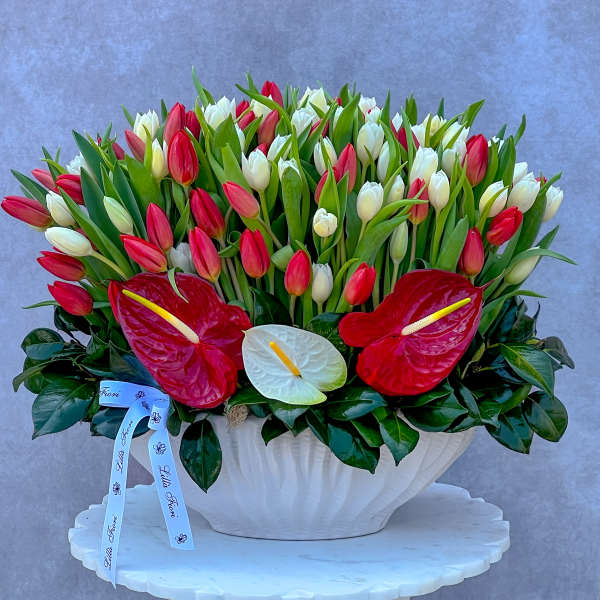 Large arrangement of red and white tulips in a white bowl with red anthuriums
