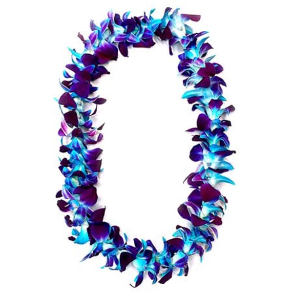 Orchid Lei Single Blue