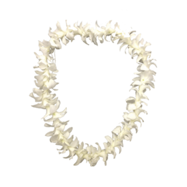 Orchid Lei Single White