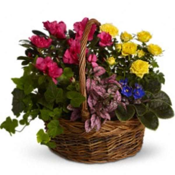 Basket of pink and yellow flowers with purple accents