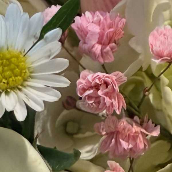 Mothers Day Mixed Up
