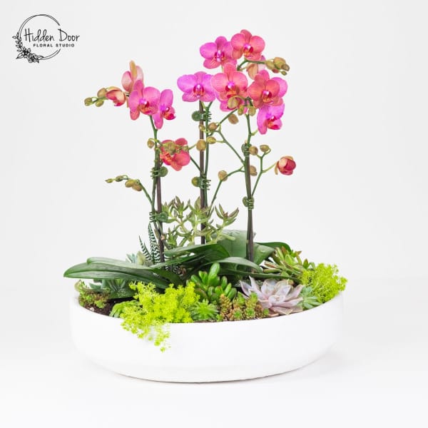 Pink orchids in a white oval planter with succulents