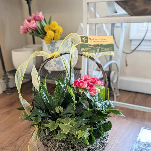 Garden Basket