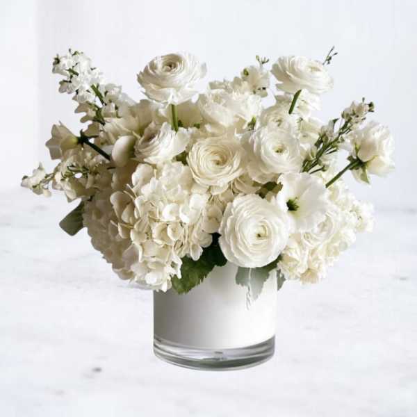 Monochrome Garden