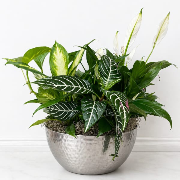 Metal Container Dish Garden
