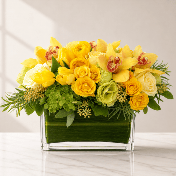 Malibu Morning