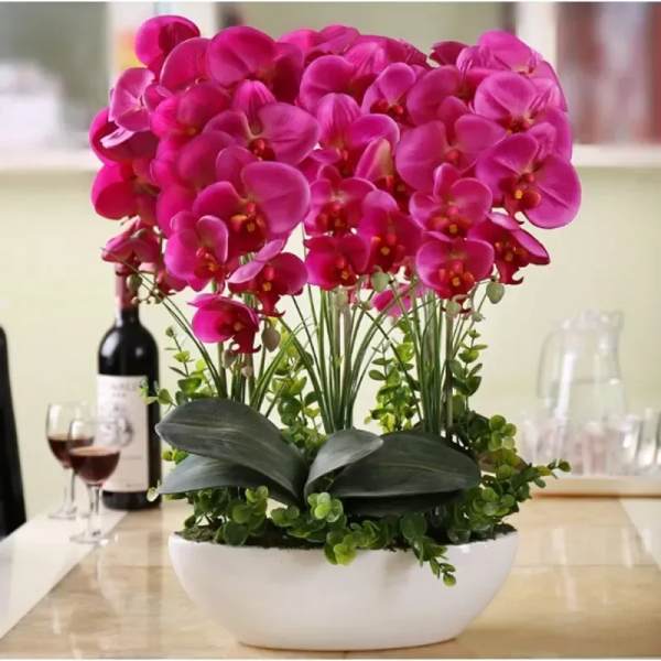 Radiant Orchid Elegance