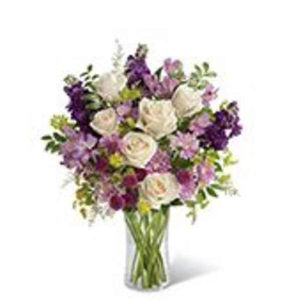 Lush Lavender