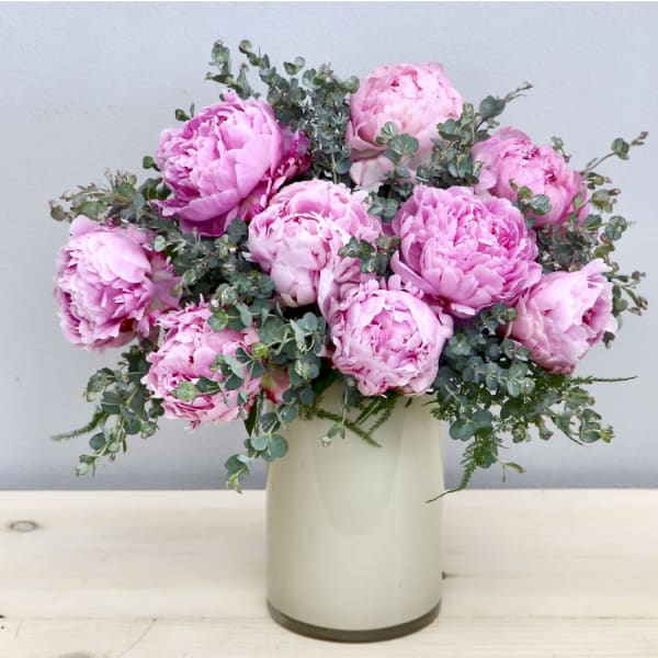 Pink peonies arranged in a white vase with airy greenery