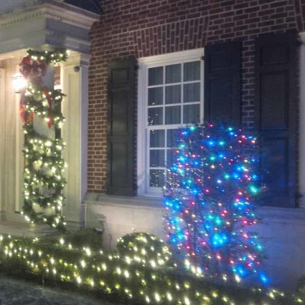 Christmas decoration package