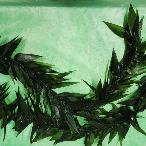 Extra long ti leaf lei