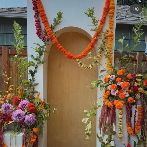 Glory of India Sunkissed blooms 3000 of $4150