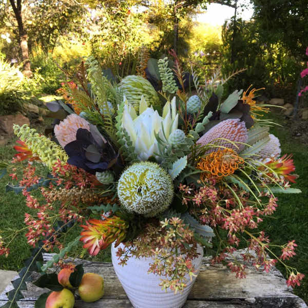 Large assortment of Protea & Maui exotic blooms