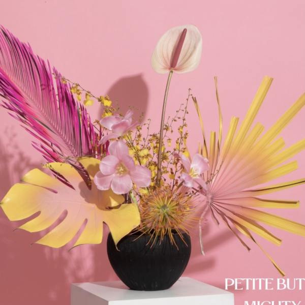 Jaw-dropping spectacular mix of exotic blooms