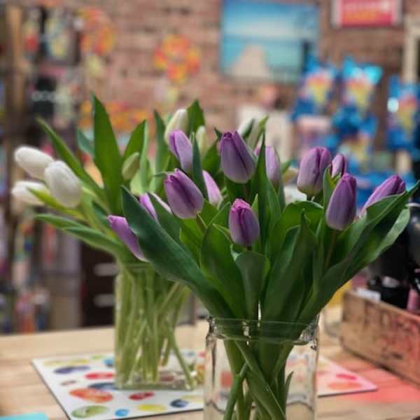 Purple and white tulips in clear glass vases on a table