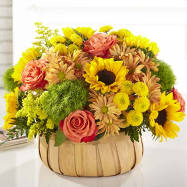 Color Mix Basquek