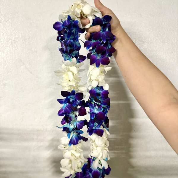 Two purple and white orchid leis held by a hand