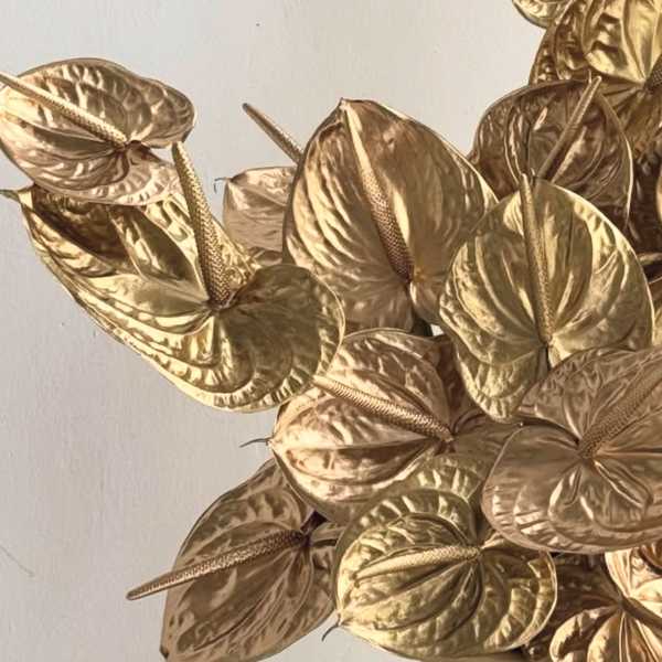 Tropical gold