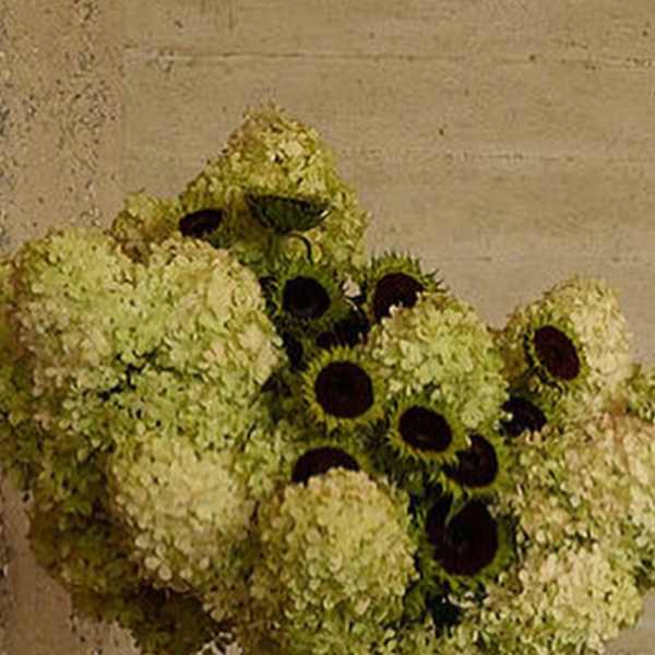 Hydrangeas and sunflowers