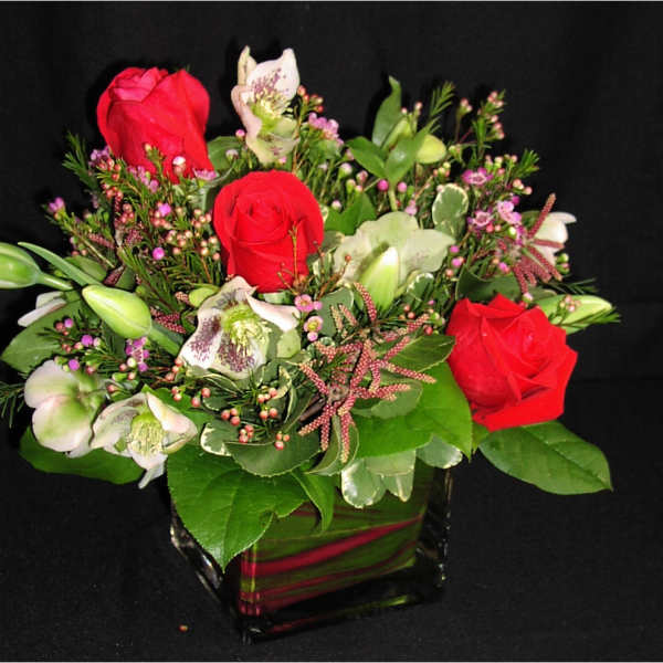 Helebore Rose Cube