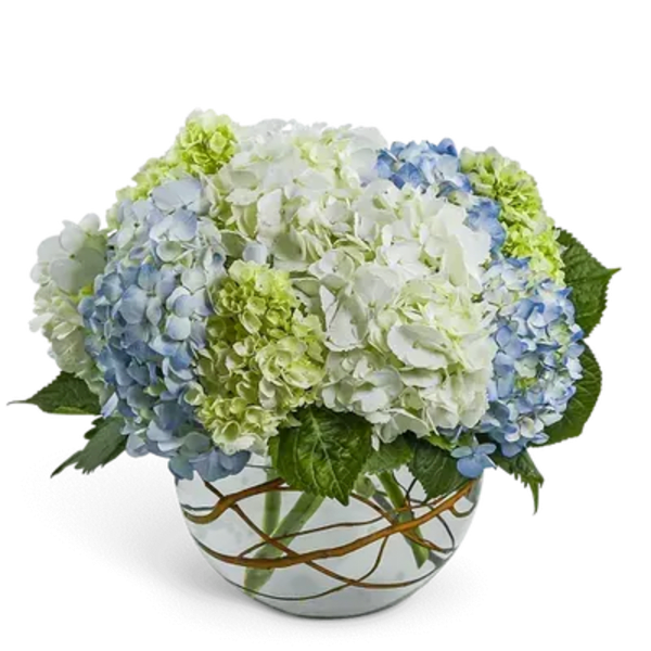Modern Hydrangea