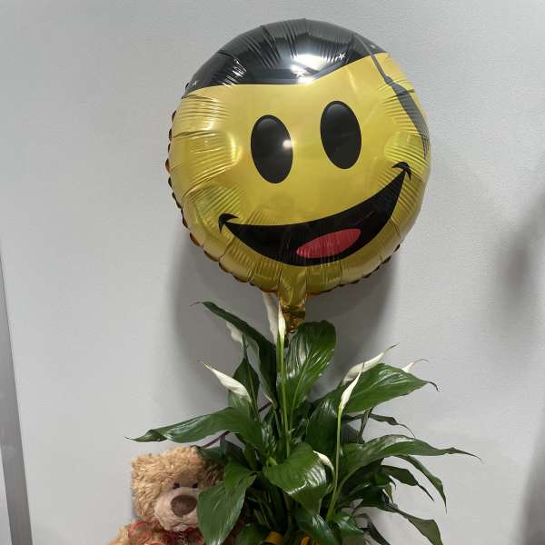 Congrats Grad Planter Trio