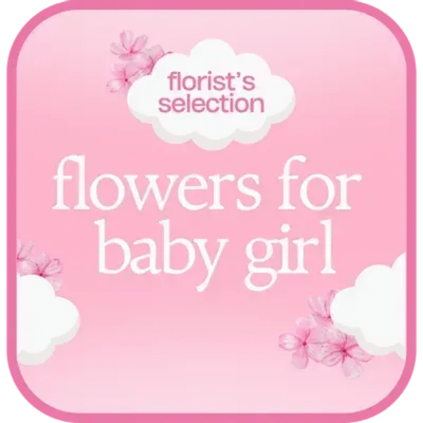 Designer's Choice - Baby Girl $150