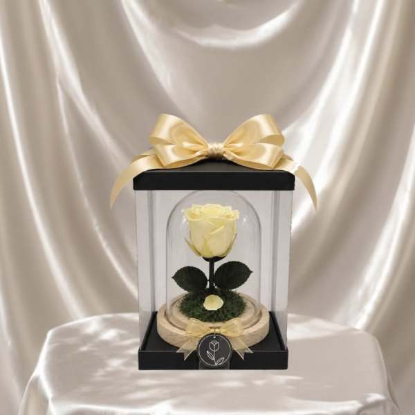 Forever Rose – Champagne (Height: 6.69 ")