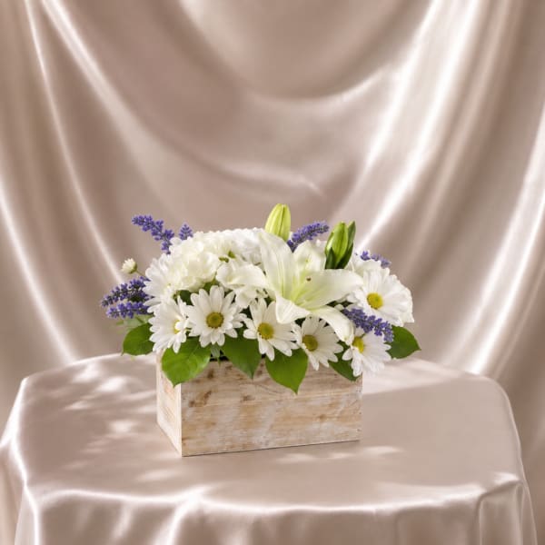 White Lily & Daisy Harmony Box
