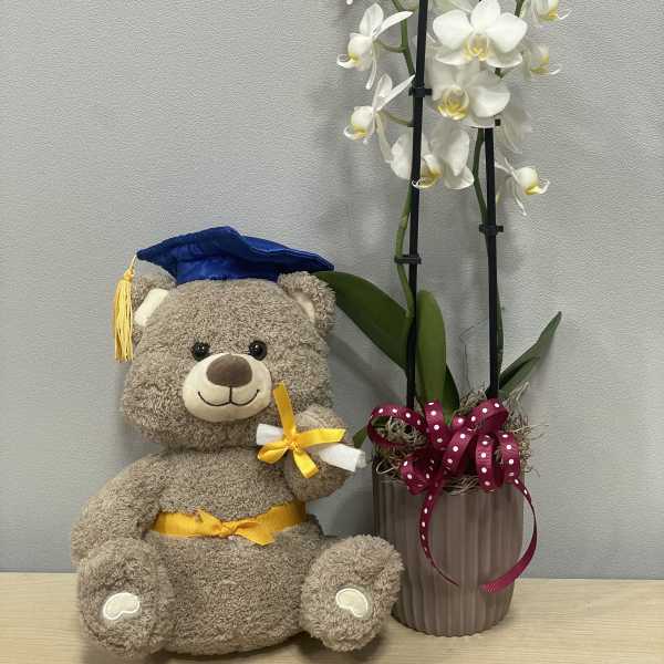 Teddy bear beside a white orchid in a ribbed vase