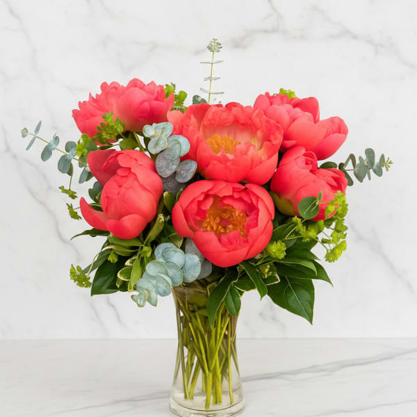 Coral Charm Peonies
