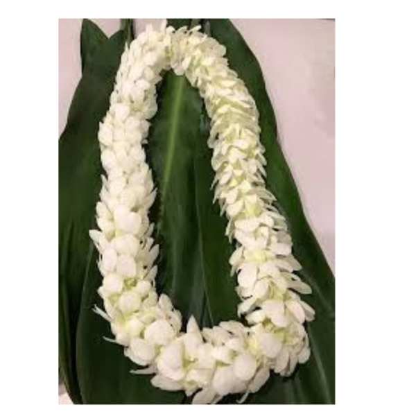 Premium White Orchid Lei -pre order only