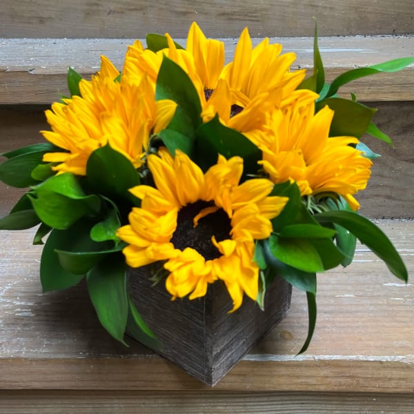 Yellow sunflowers arranged in a dark wooden container