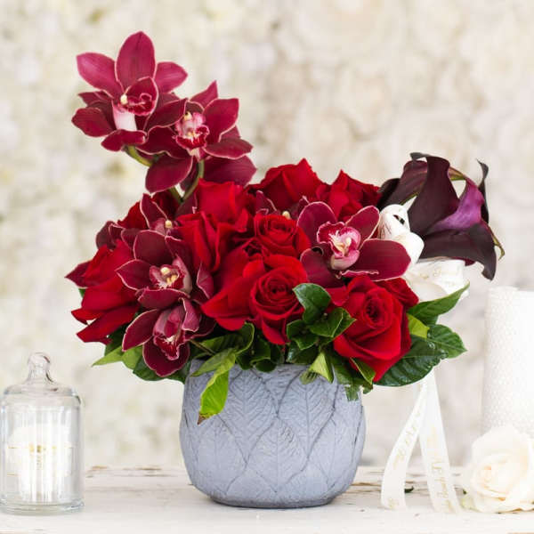Bloom romance