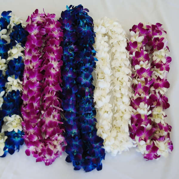 Several colorful orchid leis laid out in rows on a white surface