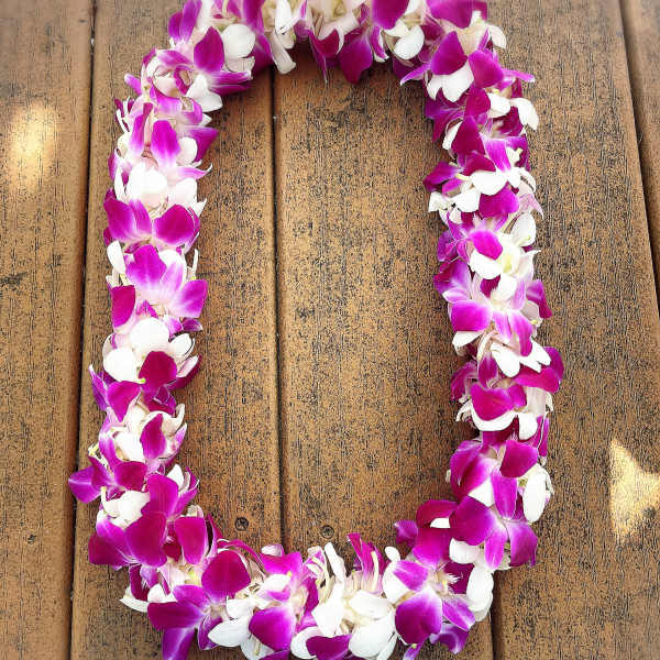 Graduation Orchids Lei (Purple and White)